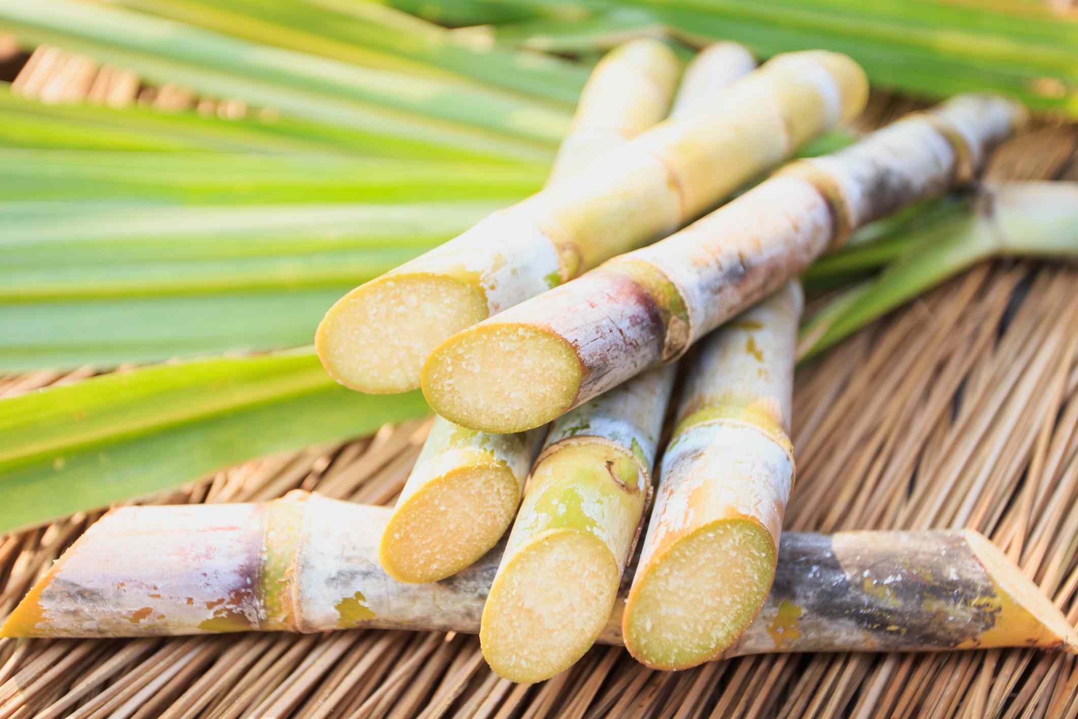 Sugarcane – Industry Strategic Science and Technology Plans (ISPs) Platform