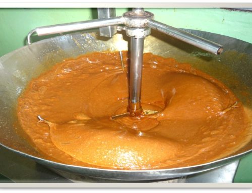 Community-Based STBF Project in Improving Coco Sap Production and Safety Primary Processing in Selected Municipalities of Davao del Sur