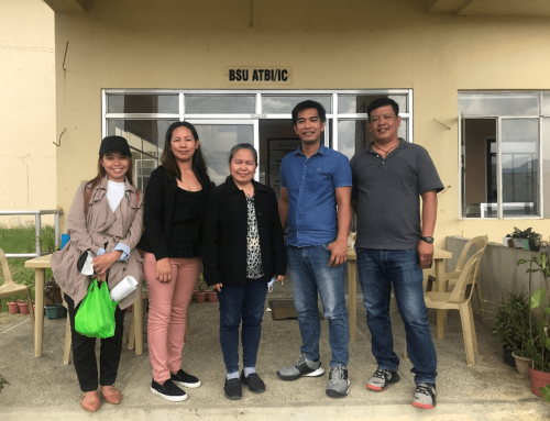 IFSU IP-TBM Phase II: Patent Mining of Banana Towards a Sustainable Ifugao State University Intellectual Property and Technology Business Management Office (IFSU IPTBM)