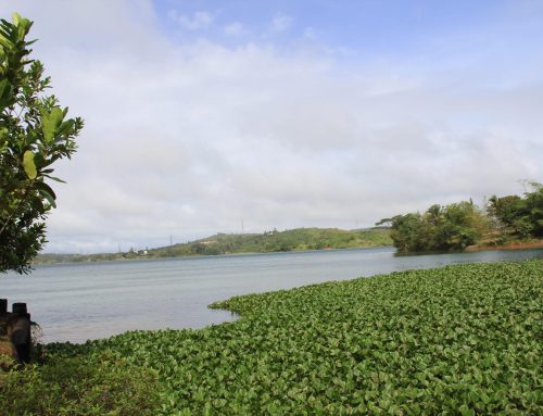 Research for Development – Payment for Ecosystem Services Outcome for Sustainable Water Provision (R4D:PESO SWaP) in Barobbob Watershed, Nueva Vizcaya