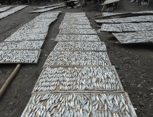 The Fishing Closure Policy in the Visayan Sea: Impacts and Issues