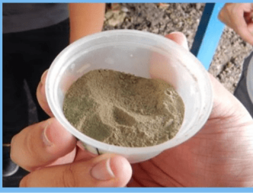 Cost-Competitive Aquafeed from Lablab