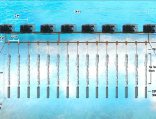 Mussel longline technology