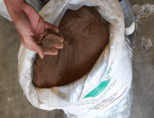 Protein enriched copra meal (PECM)