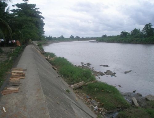 National Research and Development Project for Watershed Management: Saug Watershed, Compostela Valley Province and Davao del Norte