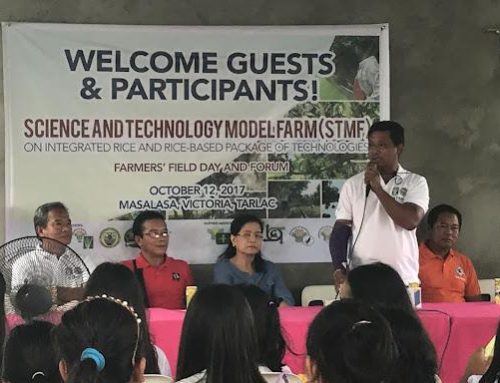 Science and Technology Model Farm (STMF) on integrated Rice and Rice-based Package of Technologies