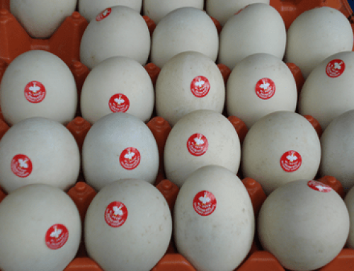 Innovative Marketing and Distribution System of Ethnic Duck Egg Delicacies and New Products