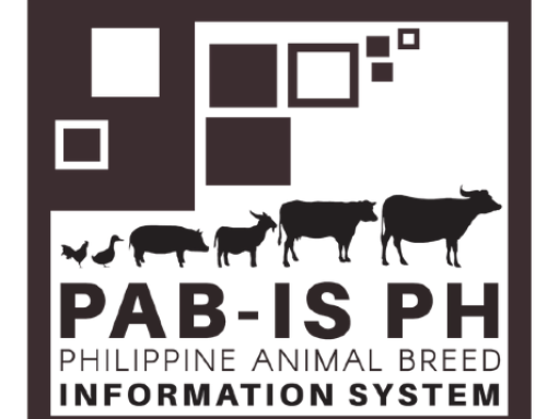 Philippine Native Pig Breed Information System