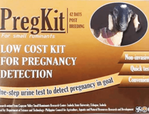 PregKit: Non-invasive pregnancy diagnostic kit for goat