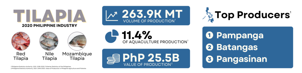 tilapia business plan philippines