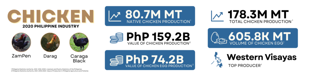 research study about native chicken