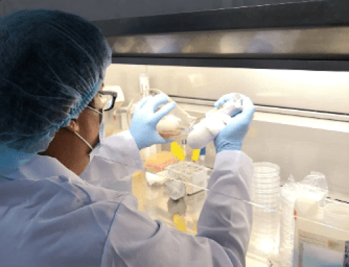 Development and Provision of Proficiency Test Scheme in Shrimp Product for Microbiological Laboratories