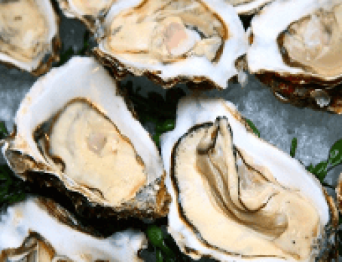 Establishment of Sanitary Quality of Oysters and Their Culture Condition