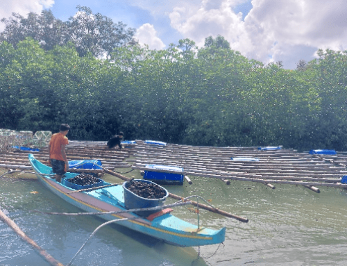 Site Characterization and Implementation of Innovative Sustainable Oyster Systems