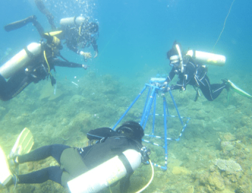 Protocol on Reef Assessments