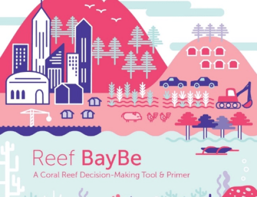 Reef BayBe: A Coral Reef Decision-Making Tool & Primer
