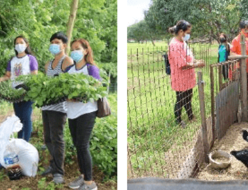 Going Back to Basic: Plant, Raise and Sustain the Chemical Pesticide-Free Integrated Small-Scale Backyard Farming