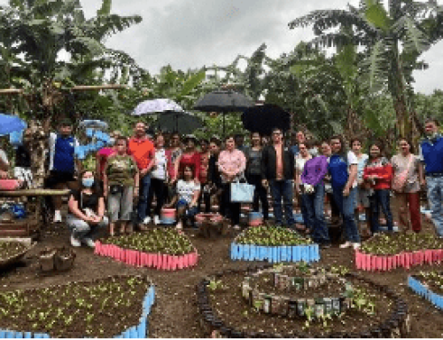 Enhancing Food Production and Livelihood through Community-based Urban Gardening Project amidst COVID-19 Pandemic in Selected areas in Albay Province