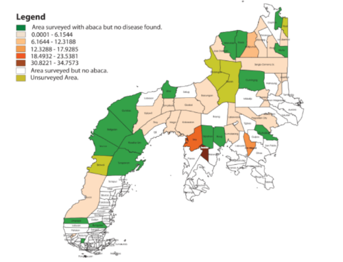 Mapping the Distribution of Abaca Bunchy Top and Analyzing Epidemic Risks