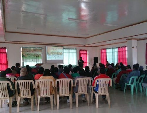 S&T Community Based Farm on Organic Arabica Coffee Green Production in Sagada, Mountain Province (Old: Community based STBF on Organic Arabica Coffee Green Production in Sagada, Mountain Province)