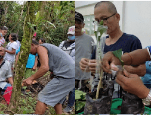 Enhancing the Agri-Aqua Food Value Chain through Smart Technologies and Partnerships towards Food Resiliency in the New Normal in CALABARZON