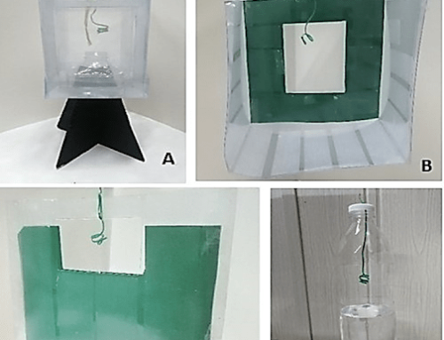 Pilot Testing of the Semiochemical Trapping System using Impregnated Sex Pheromone and Kairomone Lures for the Control of the Major Insect Pests of Cacao in the Philippines: Cacao Pod Borer and Cacao Mirid Bug
