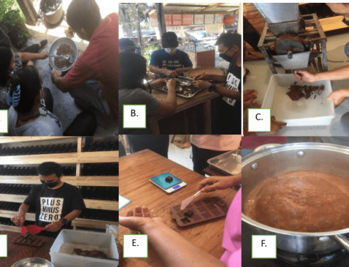 Tablea: Pangkabuhayan Para sa Kotabateňong Pamayanan: Community-Based Tablea Production for Sustainable Livelihood in Cotabato