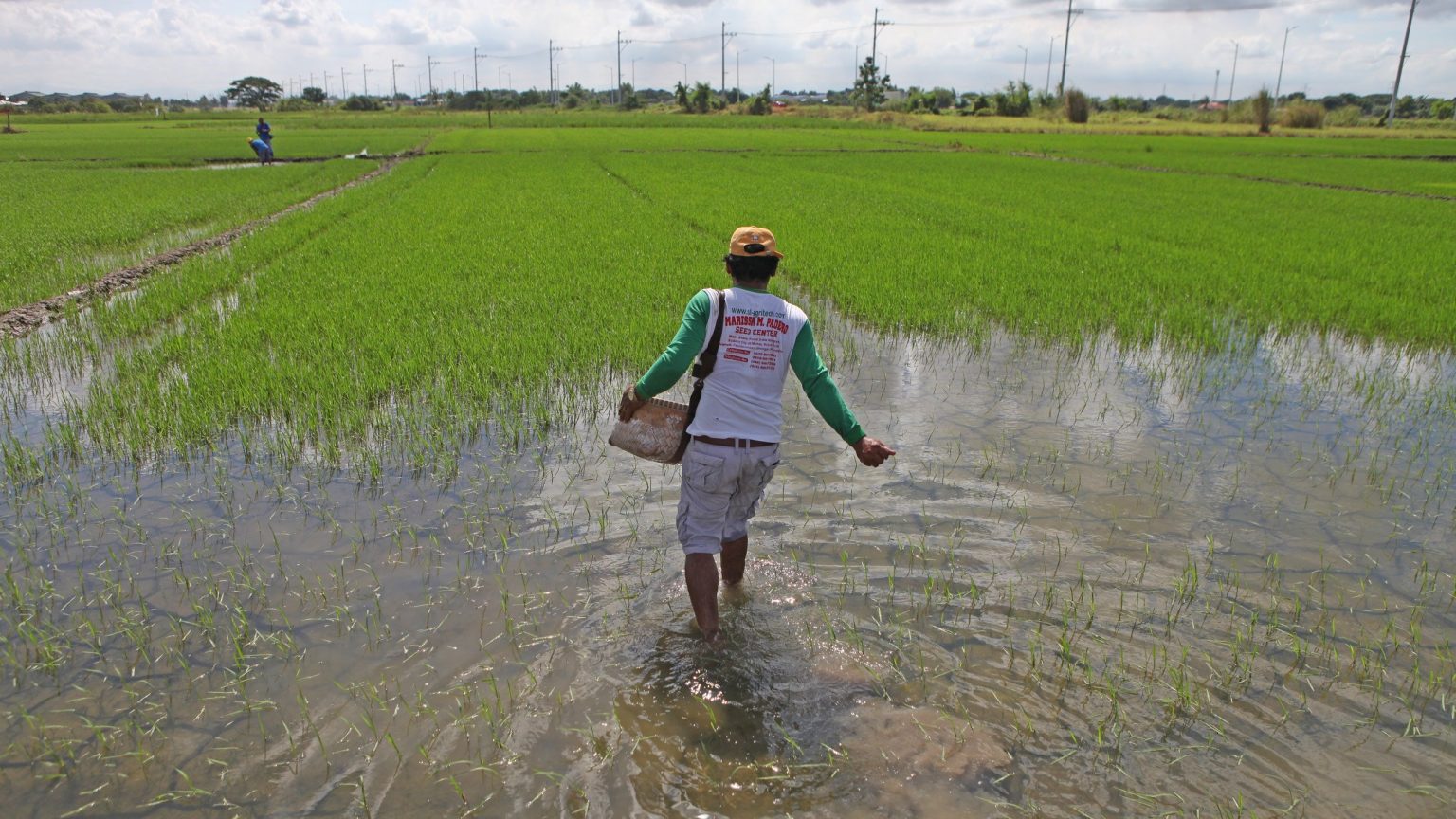 Super Typhoon Carina: Agricultural Devastation, Impact On Prices ...