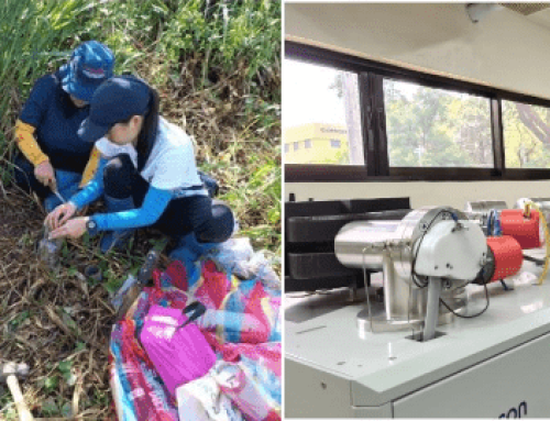 Reforestable Carbon Plus