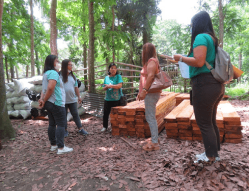Enhancing the Growth of Tree Plantation Industries in the Philippines: Simplification and Harmonization of Policies and Governance along the Value Chain