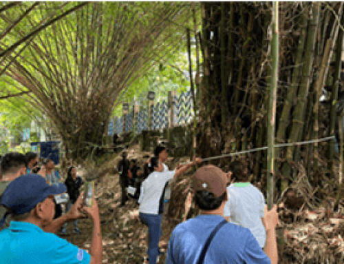 Enhancing the Adoption and Transfer of the Phenology-based Bamboo Mapping Technology and GIS-based Mapping of Potential Areas Suitable for Commercial Bamboo in Selected Areas of the Philippines – ERDB