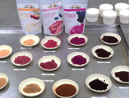 Indigenous fruits as colorants and flavorings
