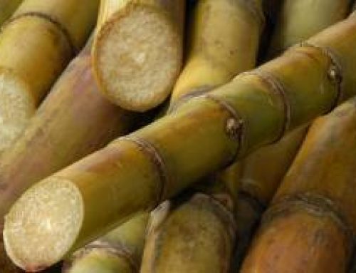 Initiatives and Implications of Philippine Sugar Liberalization