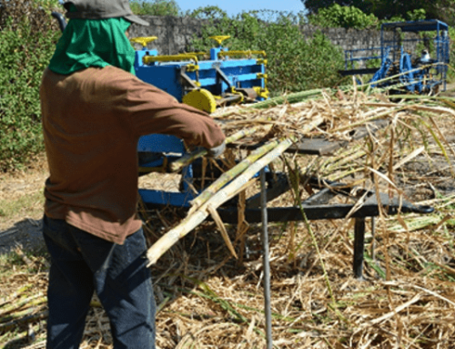 Prototype of Sugarcane Cutter, Leaf Stripper, and Loader