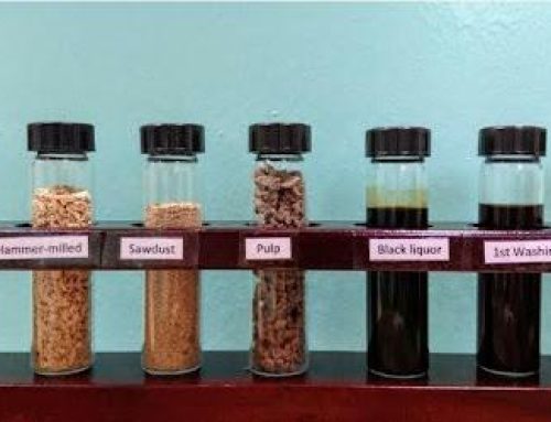 Composites reinforced with nanocellulose and bioplastic film from lignin