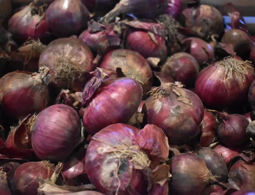 Increasing Onion Prices of Varying Magnitude in Selected Areas Despite Adequate Supply: Uncovering Gaps in Storage, Smuggling, and Distribution