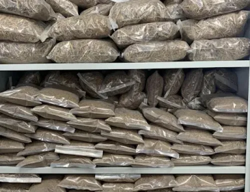 SMS in Aquafeeds: Development of an Alternative Aquafeed Ingredient Using Spent Mushroom Substrate (SMS)
